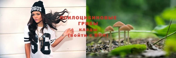 ГАЛЛЮЦИНОГЕННЫЕ ГРИБЫ Алексеевка