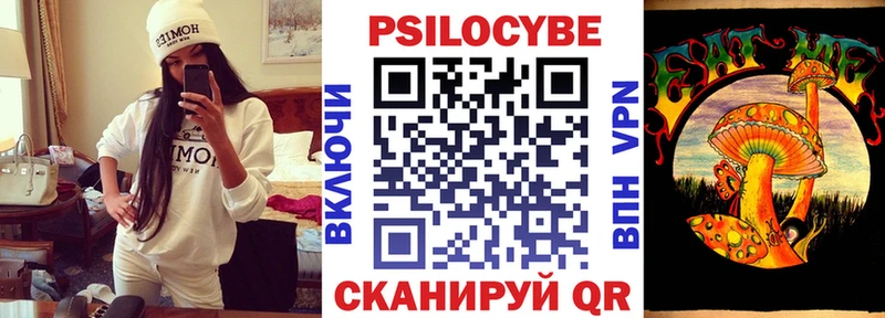 маркетплейс наркотические препараты  Кинель  Псилоцибиновые грибы MAGIC MUSHROOMS 