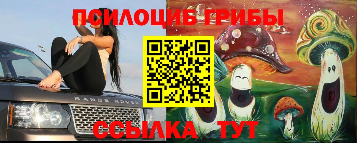 Кинель  Галлюциногенные грибы мицелий  Вход с VPN 